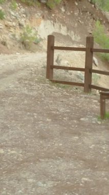 Dikey video. Dağ zirvesine giden yolda, genç kadın yorgun düştü ve bir bankta dinlenmek için oturdu, daha ne kadar yükseğe tırmanacağına baktı..