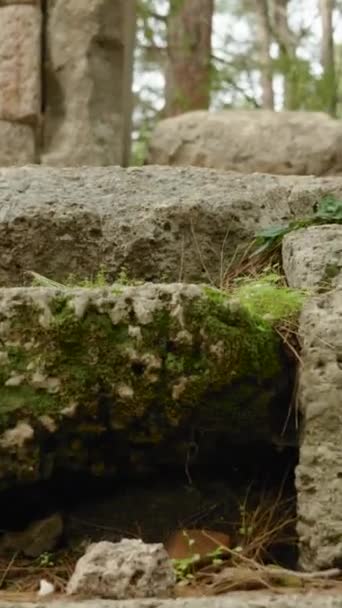 Függőleges Videó Phaselis Ősi Városának Romjai Ősi Lyciában Felmásztam Lépcsőn — Stock videók