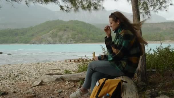 외로운 여행자는 바람과 해변에서 숲에서 날씨를 경향에서 피난처를 바나나에 간식을하고자 — 비디오