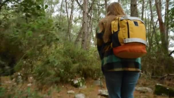 Female Tourist Backpack Hikes Forest Discovers Ancient Tombs She Peers — Stock Video