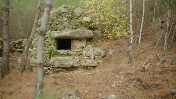 Εξερευνώντας Αρχαίες Δομές Στο Δάσος Κοιτάζοντας Στο Παράθυρο Ενός Πέτρινου — Αρχείο Βίντεο