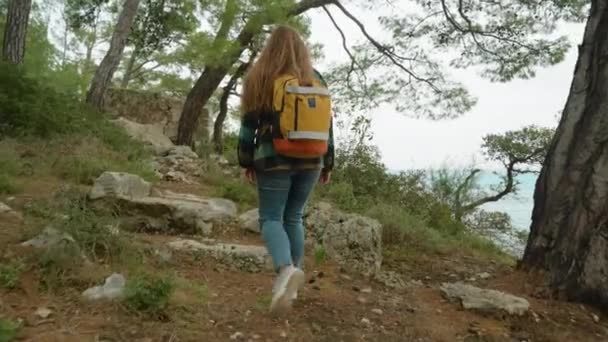 Young Solitary Female Traveler Walks Forest Edge Cliff Rock Sea — Stock Video