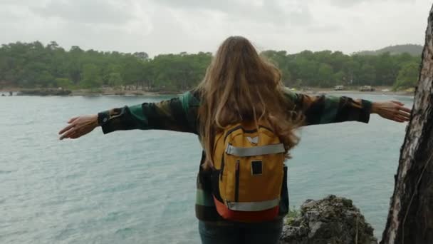 Uma Mulher Solitária Viajante Com Braços Estendidos Sente Livre Penhasco — Vídeo de Stock