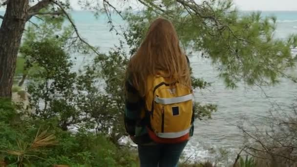 強い風で岩の海岸の濃い森を通って大きなバックパックを持つ若い孤独な女性の観光ルート — ストック動画