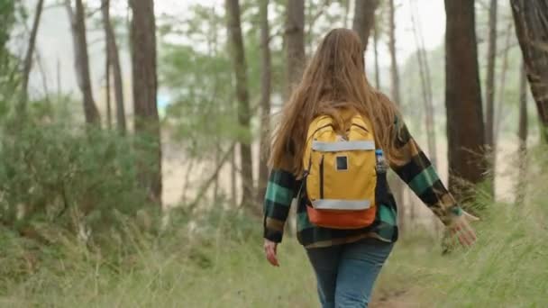 Una Vista Trasera Una Mujer Joven Caminando Con Una Mochila — Vídeos de Stock