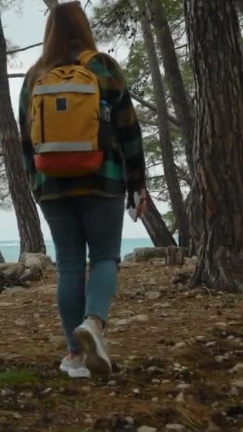 Pionowe Wideo Kobieta Sosnowym Lesie Klifie Nad Morzem Podróżuje Bez — Wideo stockowe