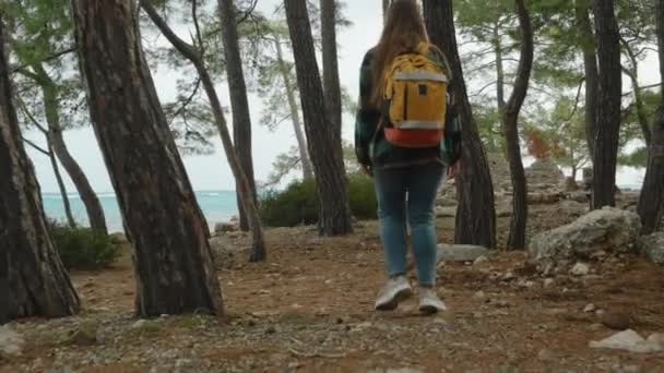 若い女性の背後からバックパック付きの平らなシャツを見ると 海と古代遺跡で森の中を一人でハイキングして旅します — ストック動画