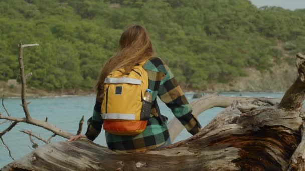 Delektując Się Samotnością Nad Morzem Widokiem Góry Las Kobieta Turystka — Wideo stockowe
