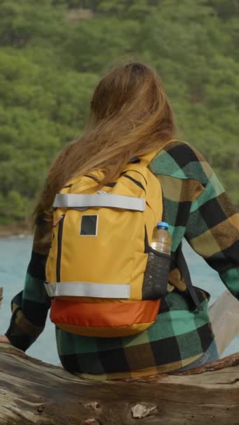 Dikey Video Dağlar Orman Manzaralı Deniz Kenarındaki Yalnızlığın Tadını Çıkarıyorum — Stok video