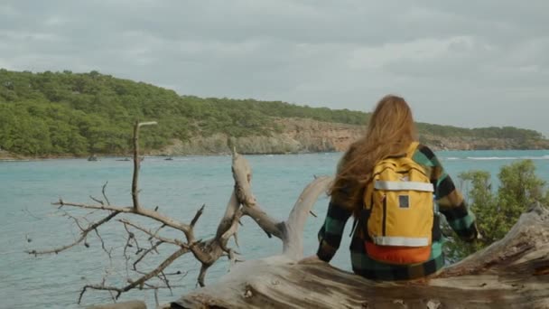 背後から見た観光客の女性は 海岸に倒れた巨大な木のトランクに座っています 涼しい 森と崖の景色を望む海による天候に覆われた — ストック動画