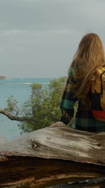 Vertical Video Lone Female Traveler Bright Backpack Enjoys View Blue — Stock Video