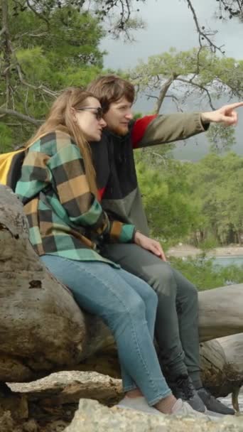 垂直录像 一对年轻貌美的情侣坐在树旁的海边 讨论着下一步该走到哪里 指明方向 — 图库视频影像