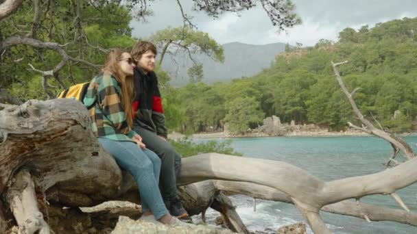 Jovem Casal Beijando Viajantes Sentados Uma Árvore Junto Mar Tempo — Vídeo de Stock