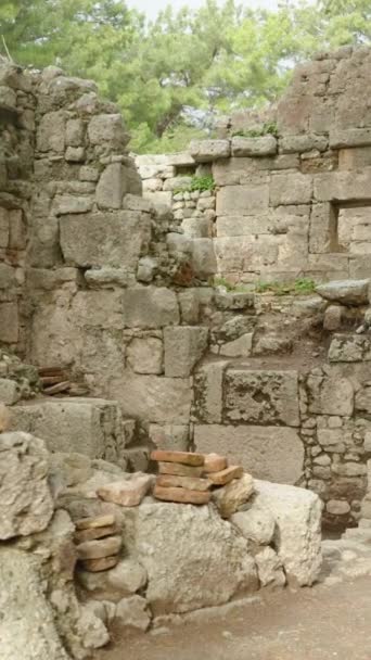 Pionowe Wideo Zniszczone Domy Kamienne Mury Starożytnego Miasta Phaselis Lesie — Wideo stockowe
