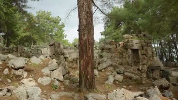 Procházka Mezi Troskami Zchátralými Starořeckými Domy Zarostlými Borovým Lesem Starověké — Stock video