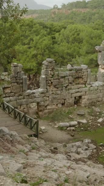 Vidéo Verticale Panorama Amphithéâtre Dans Forêt Ancienne Ville Lycienne Phaselis — Video