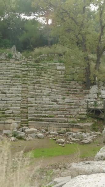 Vídeo Vertical Antiguo Anfiteatro Ciudad Phaselis Está Ruinas Cubierto Vegetación — Vídeos de Stock