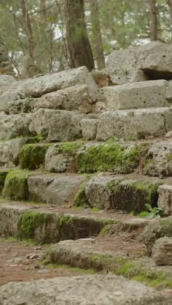 Вертикальне Відео Самотня Подорож Жінки Рюкзаком Вивчення Стародавніх Сходів Покритих — стокове відео