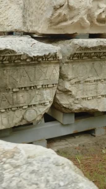 Video Verticale Scavi Archeologici Nella Foresta Pietre Una Città Rovina — Video Stock