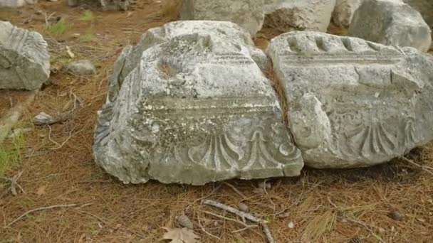 Antik Lycia Şehri Phaselis Kalıntıları Deniz Kenarındaki Çam Ormanlarına Saçıldı — Stok video