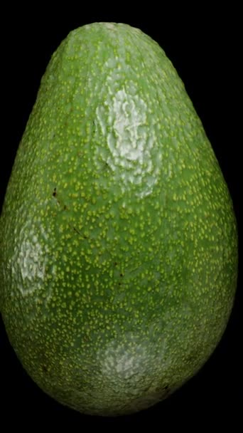 Ripe Avocado Fruit Spins Петлі Чорному Тлі Впритул — стокове відео
