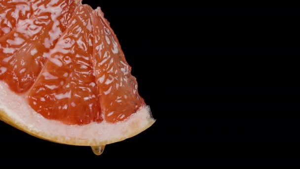 Egy Szelet Grapefruitból Vörös Lédús Hússal Cseppek Csöpögnek Fekete Alapon — Stock videók