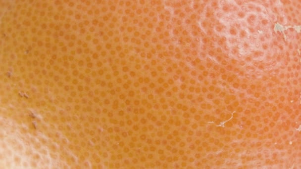 Εντυπωσιακή Υφή Ενός Πορτοκαλιού Γκρέιπφρουτ Μακρο Περιστροφή — Αρχείο Βίντεο