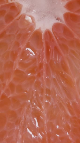 Sap Dribbels Het Rode Vlees Van Grapefruit Macro — Stockvideo