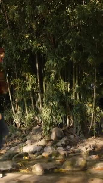 垂直录像 提着背包的女人穿过溪流 进入竹子的黑暗丛林 阳光并没有穿透那里 — 图库视频影像
