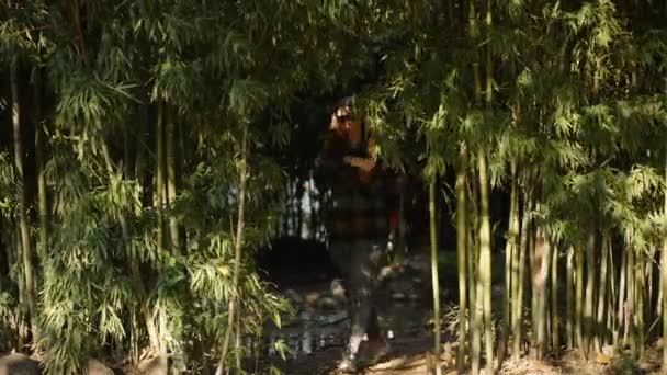 Young Woman Backpack Emerges Dark Thickets Bamboo Sunlight — Stock Video