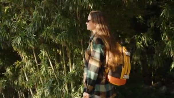 Journey Young Woman Backpack She Emerged Dark Thickets Bamboo Sun — Stock Video