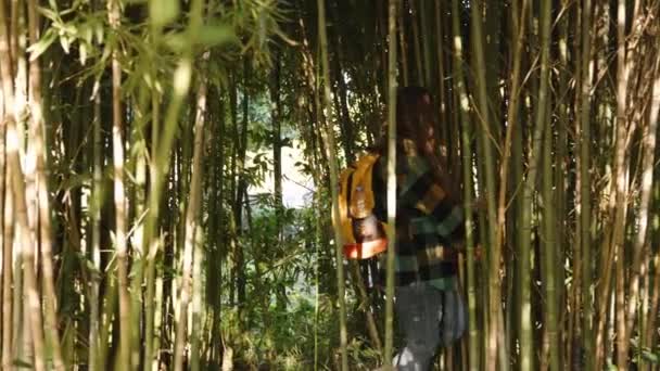 バックパックを持つ女性は竹のチケットを通ってナビゲートします スパース サンビーム — ストック動画