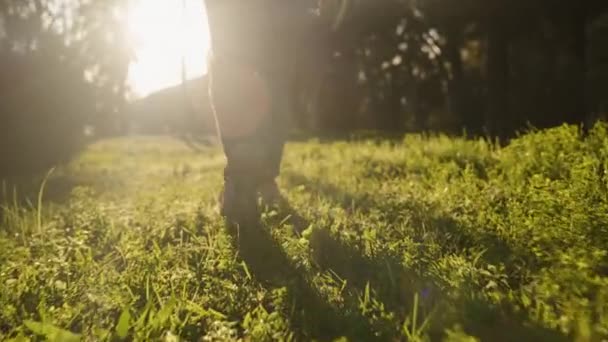 Вид Снизу Женские Ноги Идущие Зеленому Грассу Ярком Свете Заходящего — стоковое видео