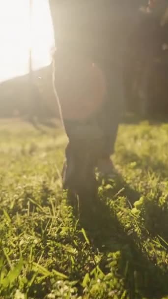 バーティカルビデオ セッティング太陽の明るい光の中で緑の草の上を歩く女性の足の下からの眺め スローモーション — ストック動画