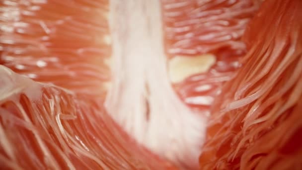 Câmera Desliza Entre Metades Pomelo Com Carne Vermelha Capturando Veias — Vídeo de Stock