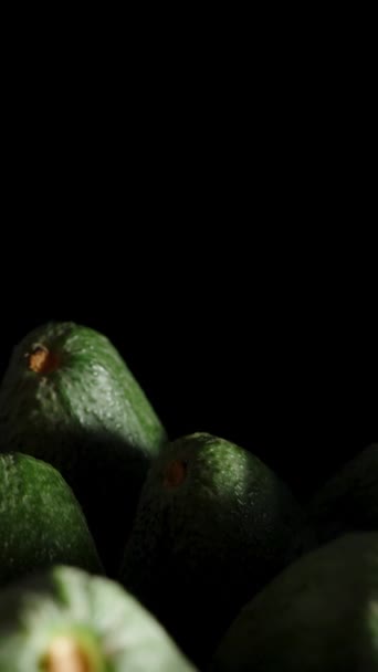 即使是一排排鳄梨尖在黑暗中在严酷的光线下的黑色背景 多莉滑翔机 — 图库视频影像
