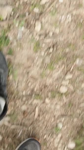 バーティカルビデオ ロックと草の間のラフテレインを歩くスニーカーの男性の脚の上からのファーストパーソンビュー — ストック動画