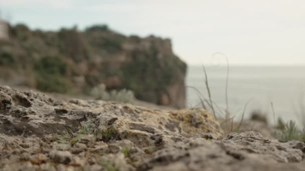 Lähikuva Focused Legs Sneakers Woman Walking Rocks Edge Cliff Sea — kuvapankkivideo