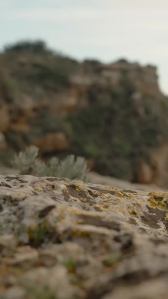 Vídeo Vertical Tourist Woman Steps Rocks Takes Her Backpack Edge — Vídeo de Stock