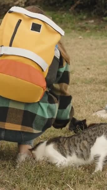 Pionowe Wideo Turystka Plecakiem Siedzi Trawie Zabawy Pet Street Cats — Wideo stockowe
