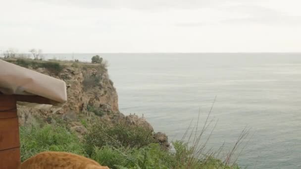 Ξύλινο Σπιτάκι Για Γάτες Ψηλό Βράχο Δίπλα Στη Θάλασσα Πορτοκαλί — Αρχείο Βίντεο