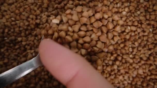 Kaşıktan Karabuğdayı Silkeliyorum Arka Planda Karabuğday Tarlasıyla Dolu Üst Manzara — Stok video