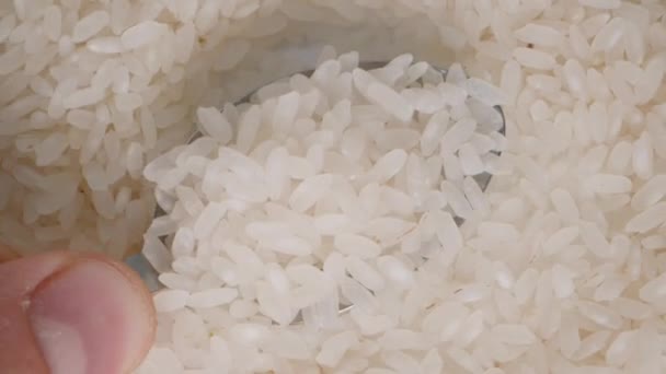Beyaz Pirinç Tanecikli Kaşığı Yukarı Kaldıran Bir Elin Yakın Plan — Stok video