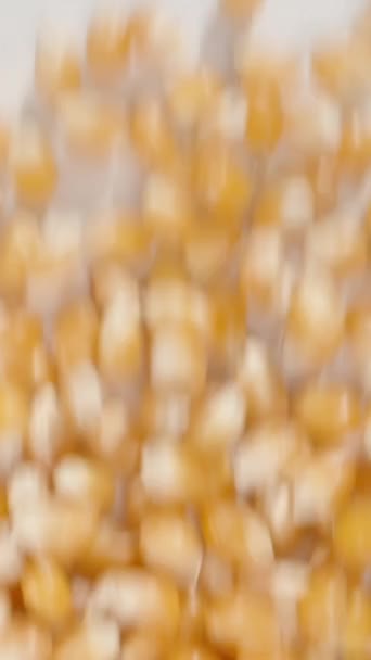 Vertikales Video Getrocknete Maiskörner Zur Herstellung Von Popcorn Auf Weißem — Stockvideo