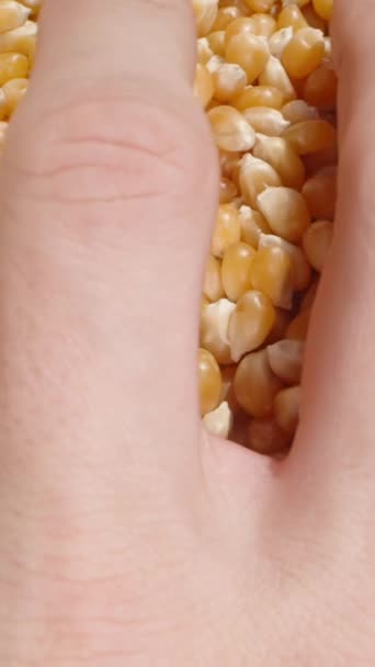 Vertikální Video Pohled Shora Mužské Ruce Sbírající Odlévající Zrnka Popcornu — Stock video