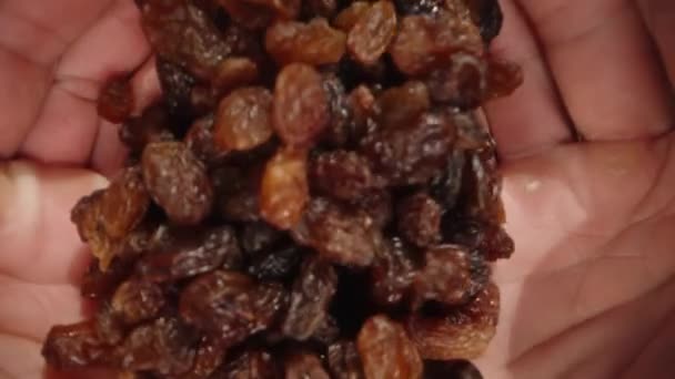 Bovenaanzicht Van Mannelijke Handen Scheppen Teruggieten Van Gedroogde Rozijnen Slow — Stockvideo