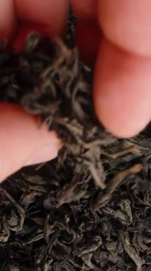 Dikey video. Kuru çay yapraklarının arka planında, bir erkek el bir avuç alır ve kameraya getirir, sonra da döker. Üst görünüm, yavaş çekim.