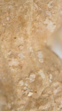 Dikey video. Fıstıklar Kabukta Yavaşça Döner ve Aşağı Düşer. Fıstıktan yapılmış beyaz bir arkaplanda.