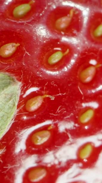 垂直录像 采购产品新鲜草莓 顶部视图旋转 宏观缩放 慢动作 草莓浆果的背景 — 图库视频影像