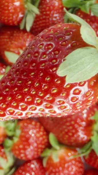 垂直录像 草莓圈轮转 顶部视图 广告水花屏幕背景的红色果汁草莓 — 图库视频影像